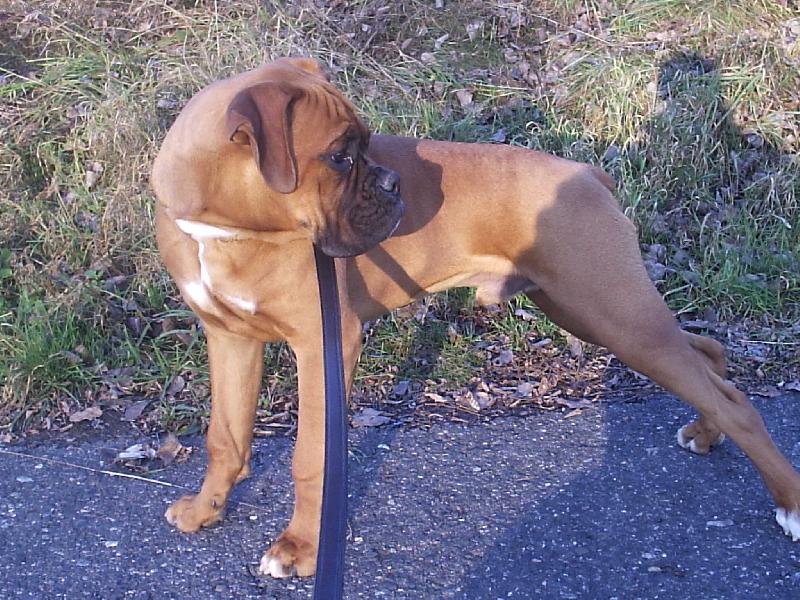 Foto: to je postoj :)-pani�ko rychl��� fo� to...