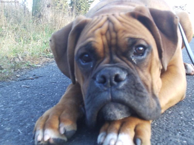 Foto: kuk...-v�echny v�s vid�m..a moc r�d