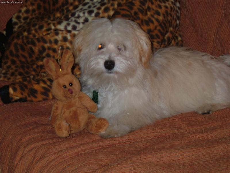 Foto: j� a m�j zaj�c