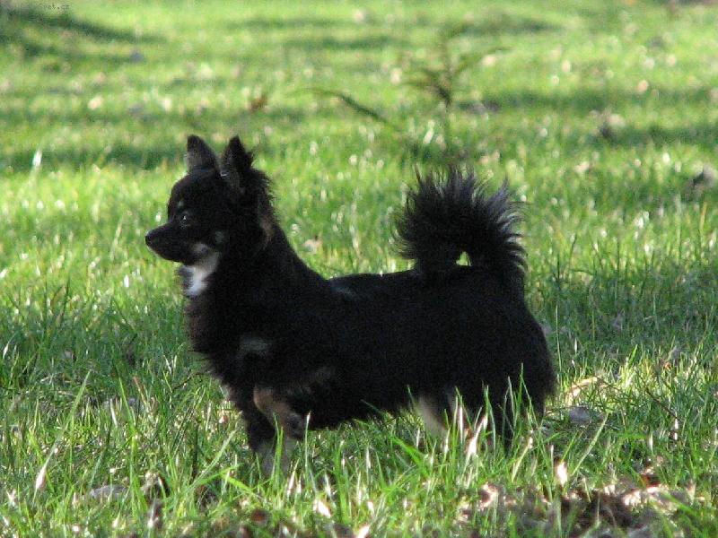 Foto: Alva a Barborka z T�eba�sk�ho �dol�-slun�n� v prosinci