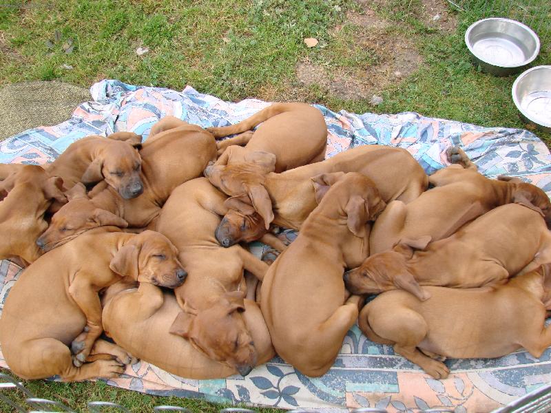 Foto: Hlavn� aby bylo teplou�ko :-)