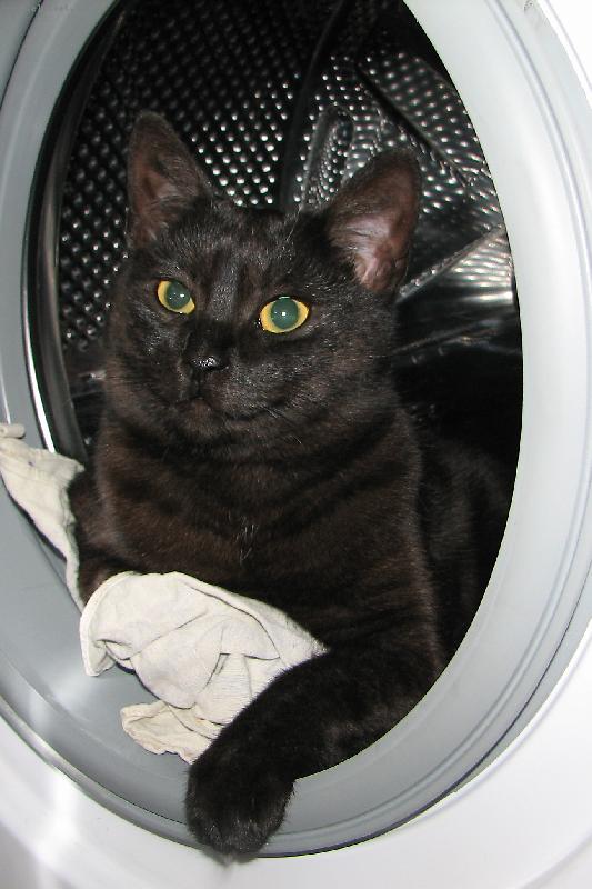 Foto: kozisek je jako novy