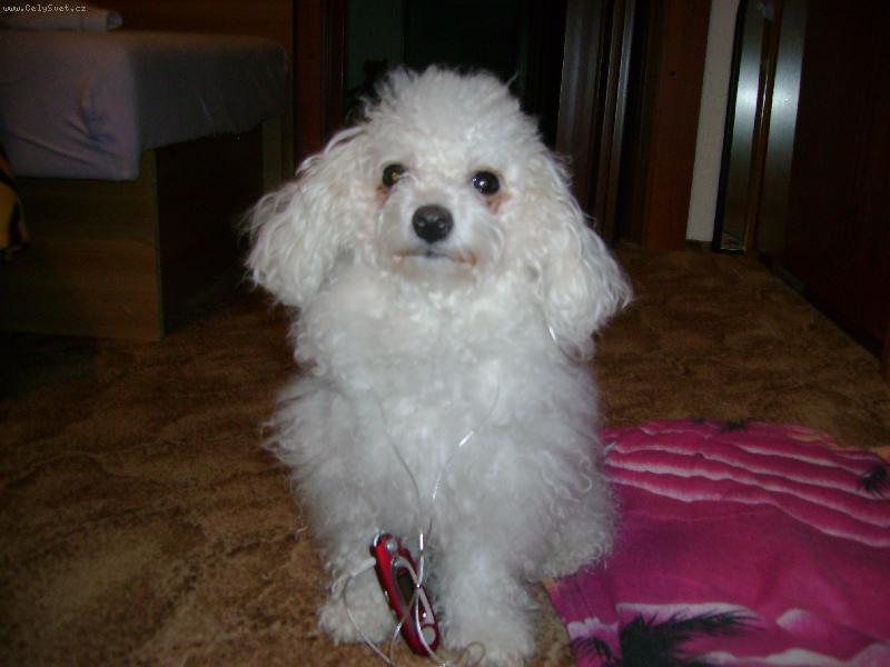 Foto: m�m MP3 p�ehr�va�