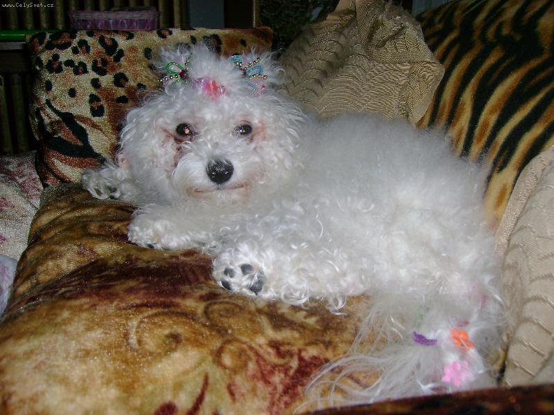 Foto: jsem na�esan�