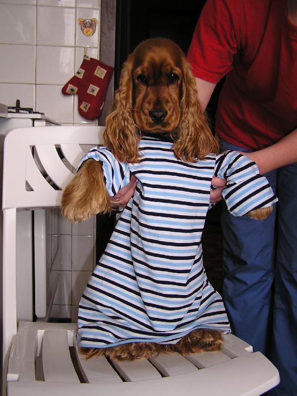 Foto: Barunka-jako n�mo�n�k !!!