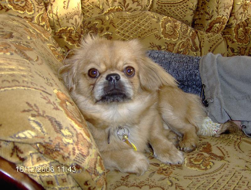 Foto: No �o by ste chceli?-Na� mil��ik si hovie na gau�i