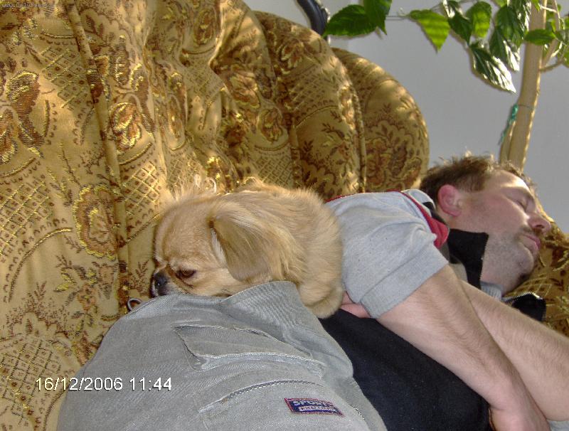 Foto: Tak to sa ale dobre sp�-Ma�e dom�ce l�sky maju obednaj�� sp�nok