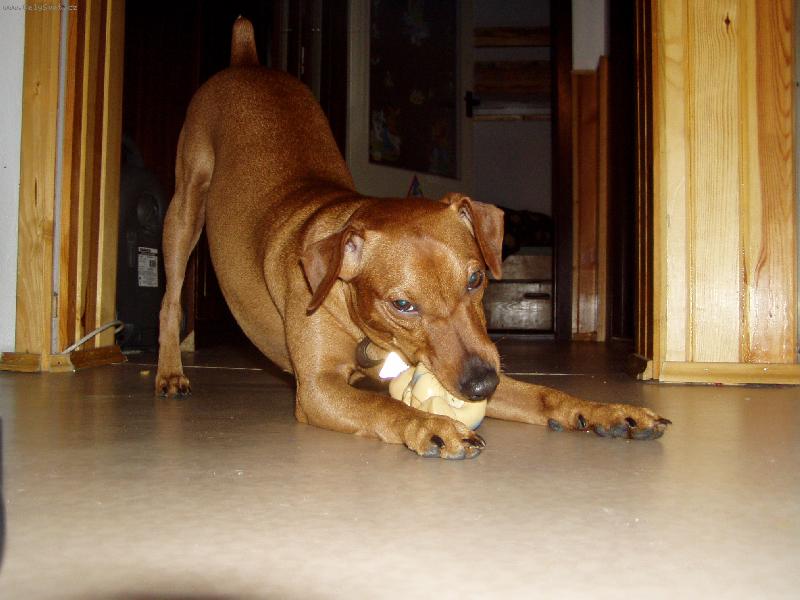 Foto: Benny si hraje-tak si um� hr�t