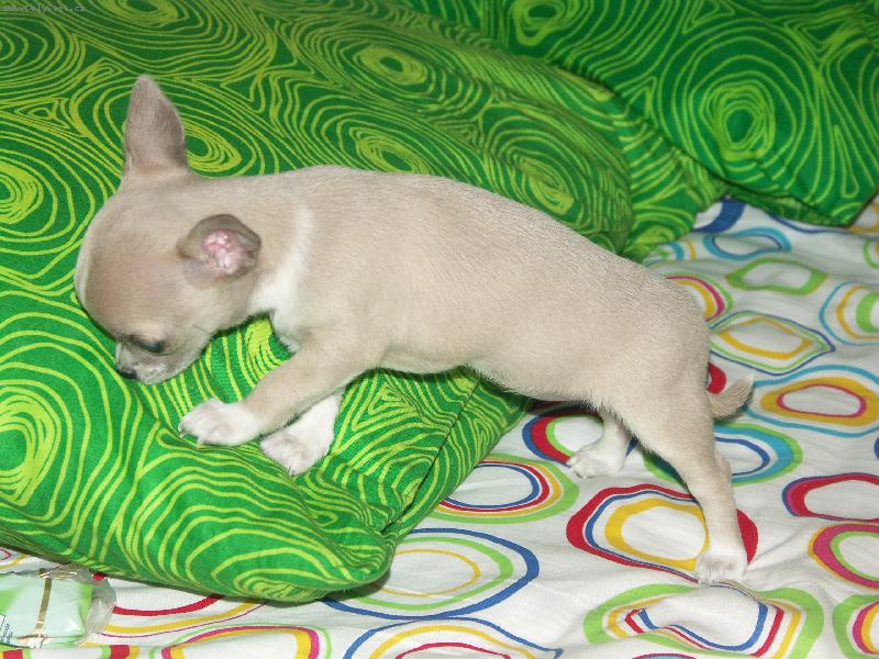 Foto: �uch�m, �uch�m..-hmm tady se mi l�b�:-)