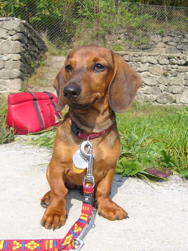 Foto: jmenuji se Jessie-a na fotografii mi byly �ty�i m�s�ce