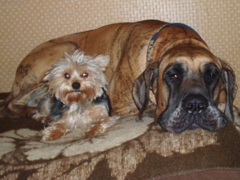 Foto: kamar�dky-Na velikosti nez�le��