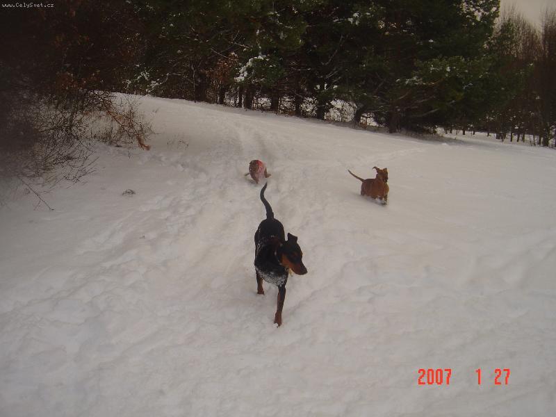 Foto: Po��dn� pin�� sn�hov� honi�ka