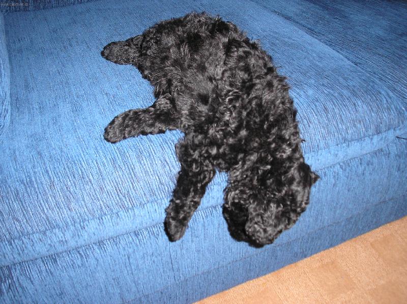 Foto: to je ta spr�vn� poloha-snad m� ta hlava nezpadne