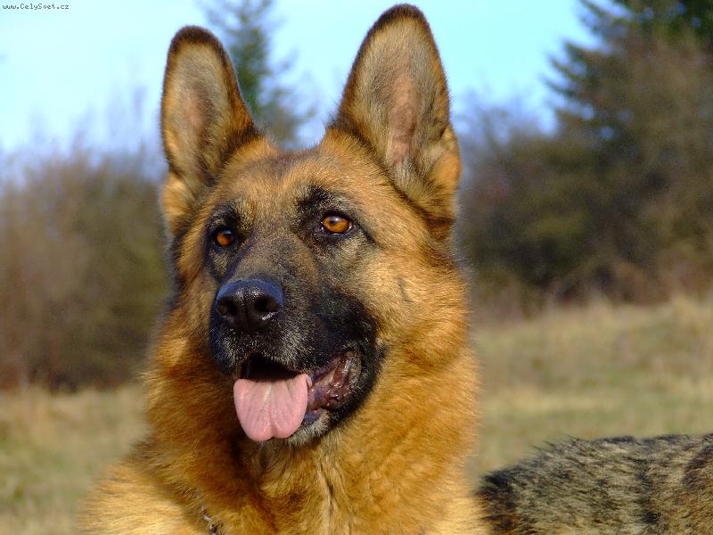 Foto: S l�skou-Jeny Maserau