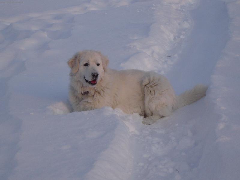 Foto: Tara-Zimn� radov�nky