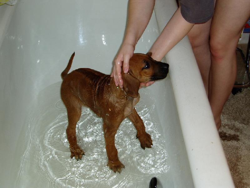 Foto: ve van�-brrrr, to je ale mokr�!!!!!!!!!