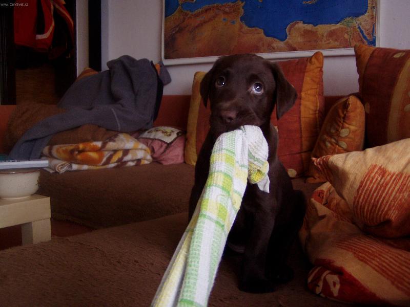 Foto: Jsem nevi��tko...-To je ale fakt muj rucnik:-)