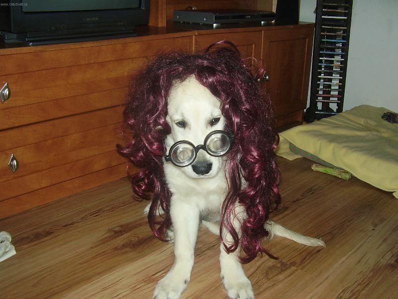 Foto: Pozor do lavic-se u�it, se u�it, se u�it