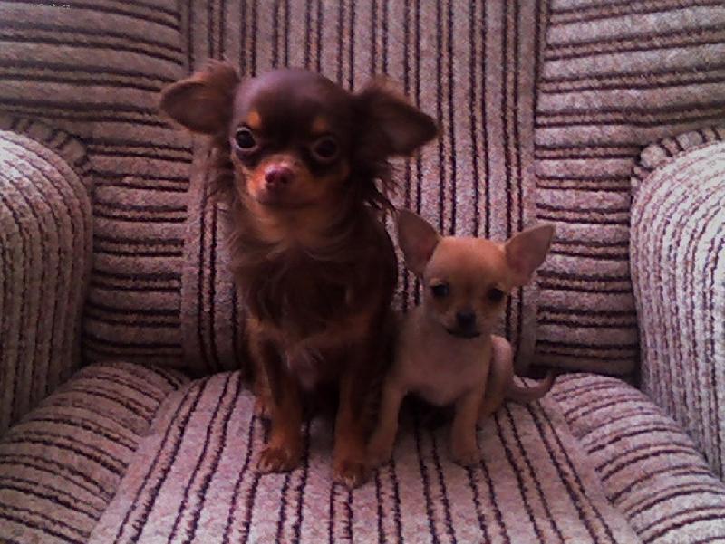 Foto: s�gry-co asi za to p�zov�n� dostaneme ?