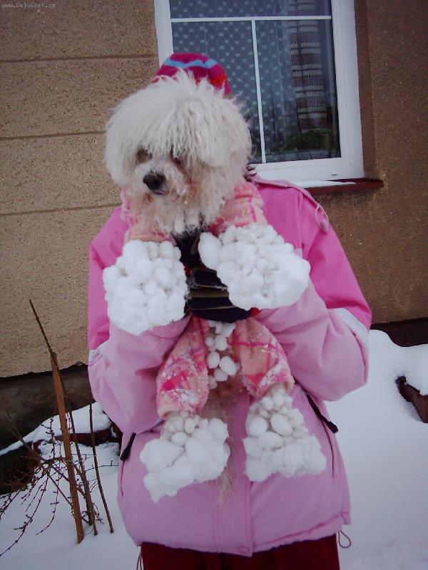 Foto: budeme se koulovat?-a kdo je�t�...?