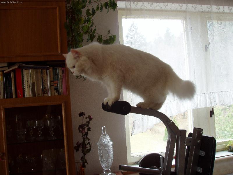 Foto: Eli�ka-U� je na �ase za��t trochu posilovat.