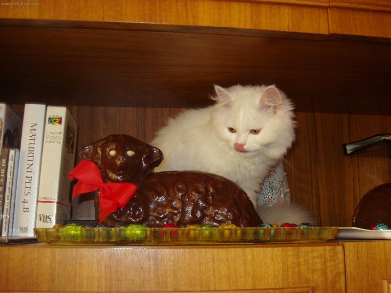 Foto: Eli�ka a velikono�n� ber�nek-J� m�m na n�ho takovou chu�...