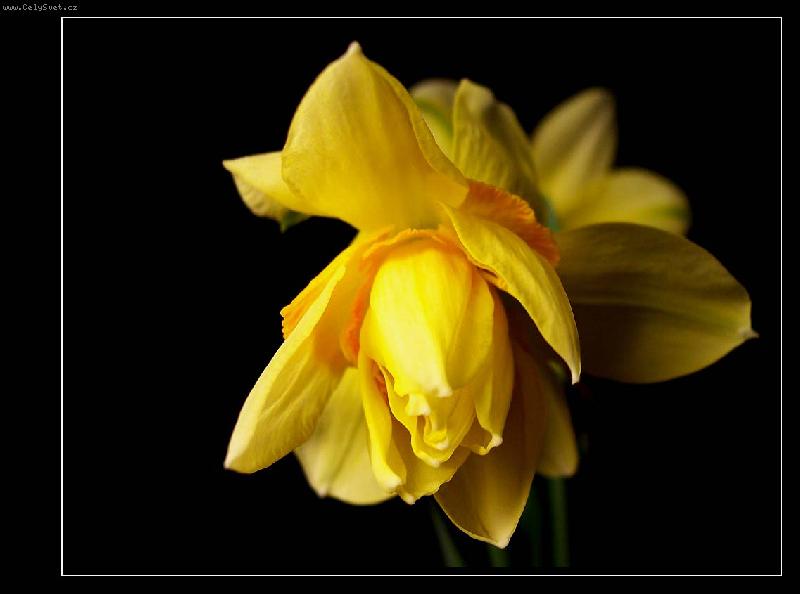 Foto: �LUT� N�HA-Foceno 2006