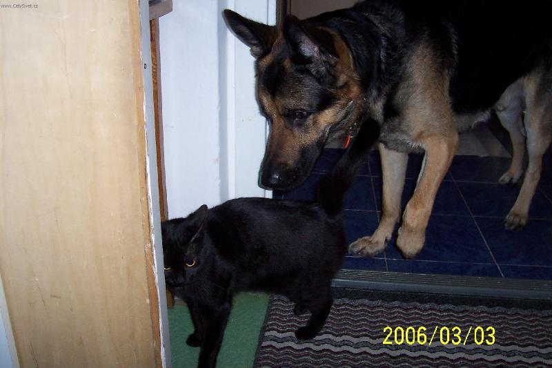 Foto: kamar�di : Lucie + Falo-...j� to tak nemyslel...