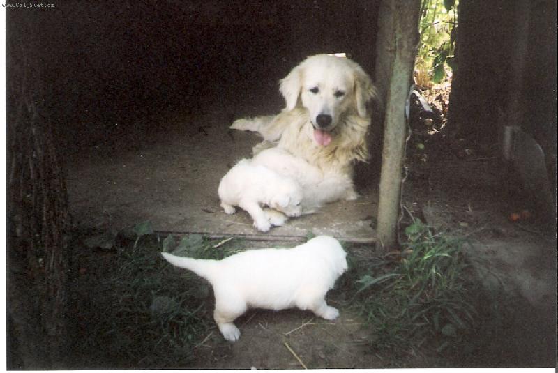 Foto: Py�n� m�ma