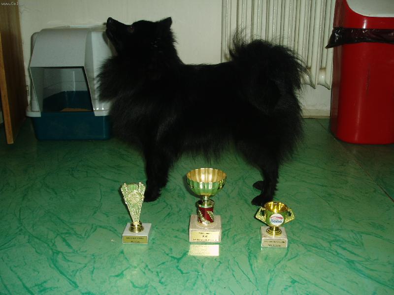 Foto: Fanny a jej� piln� vyd�lan� poh�rky