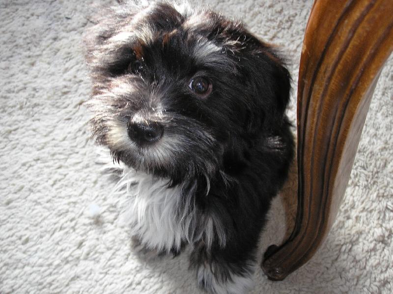 Foto: K noze!!!-Tvrd� drez�ra