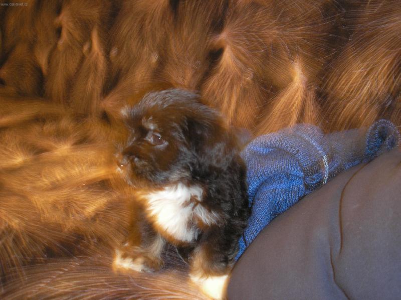 Foto: fata morg�na