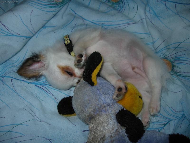 Foto: Mat�sek-Jdi s t�m bleskem do........