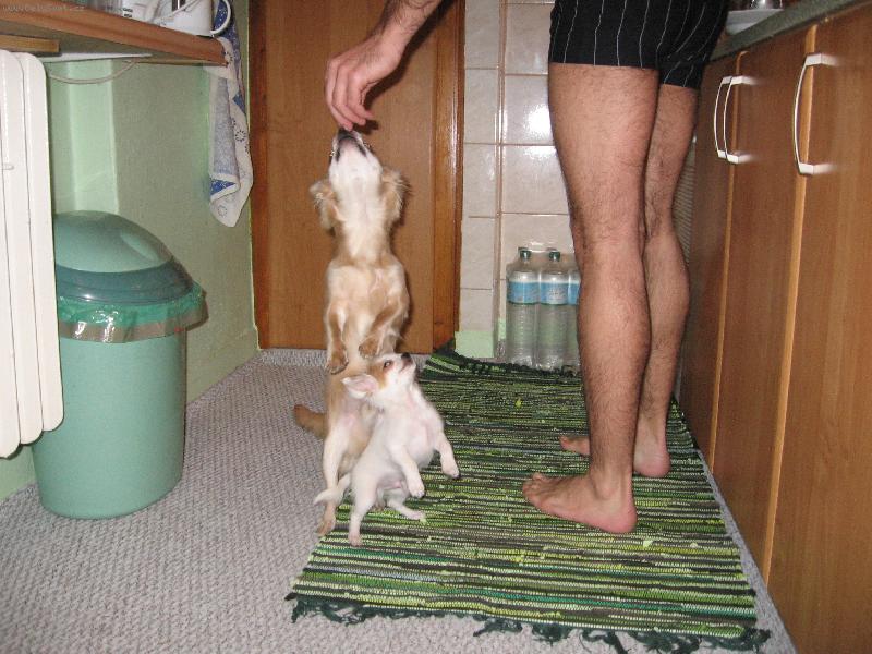 Foto: Mat�sek a Laudy-Je�t� nezapome� na mn�!!!!!!!!!