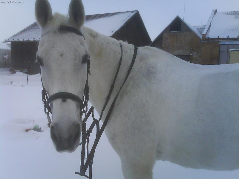 Foto: 22let� Terezka