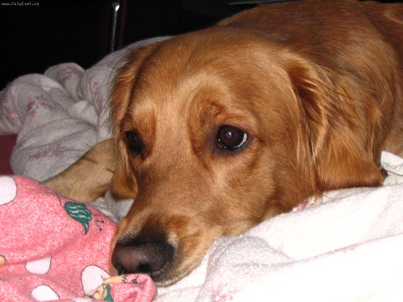 Foto: Je mi smutno-Na�e Barunka �ek� na pani�ku