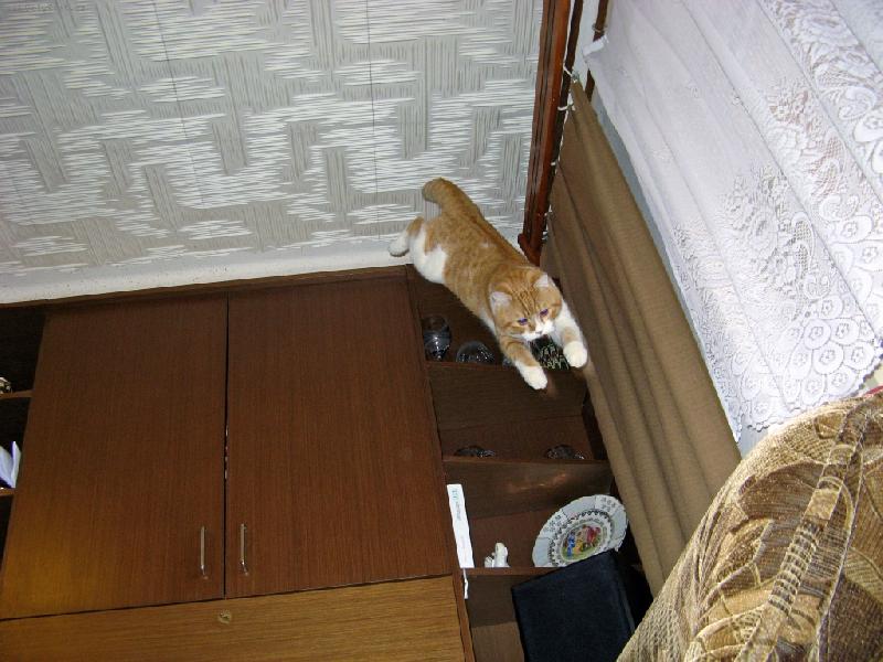 Foto: l�t�n� mn� fakt bav�-Kub��kova nejmilej�� z�bava.