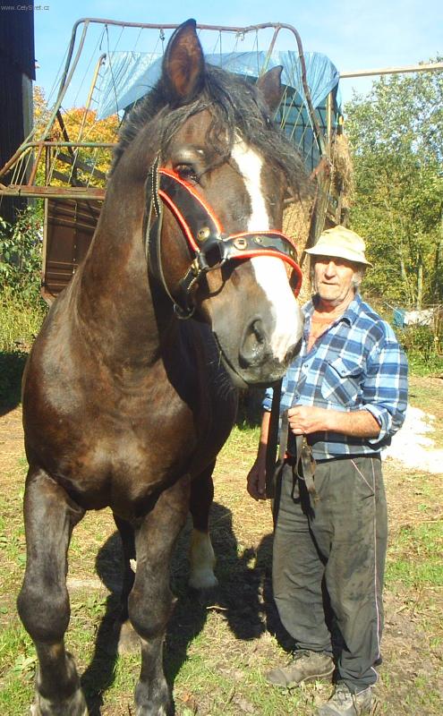 Foto: D�da a jeho �ivot-Donek moment�ln� v duchodu