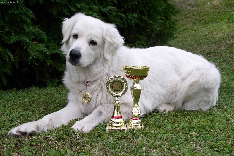 Foto: Essy B�l� kr�lovstv�-dnes u� �uva�� �ampionka