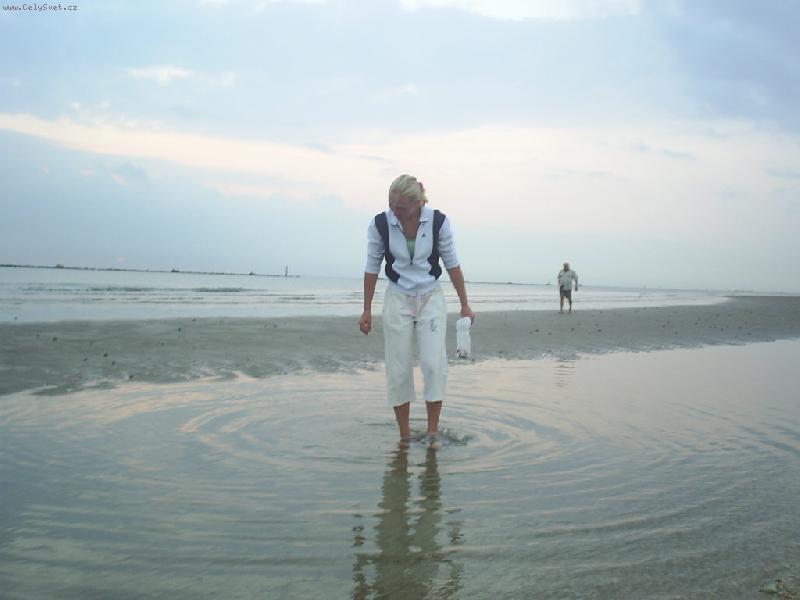 Foto: Sb�r mu�l� po odlivu...