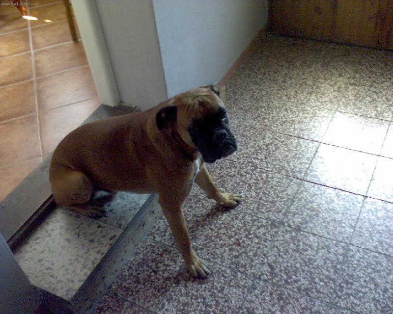 Foto: Joel  Bille Joe-sedim a premyslim kazdy den