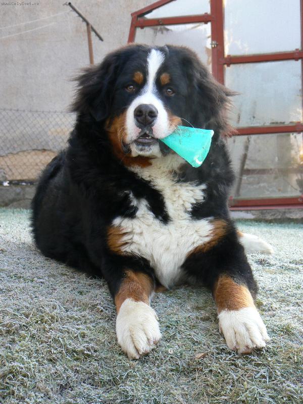 Foto: Tady vl�dnu j� :)