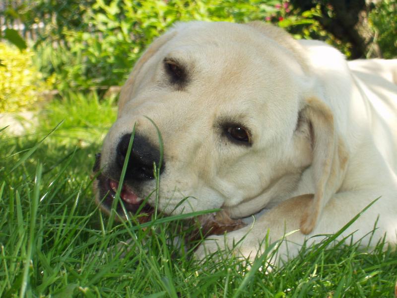 Foto: Ben��ek-mno to je m�j krasavec