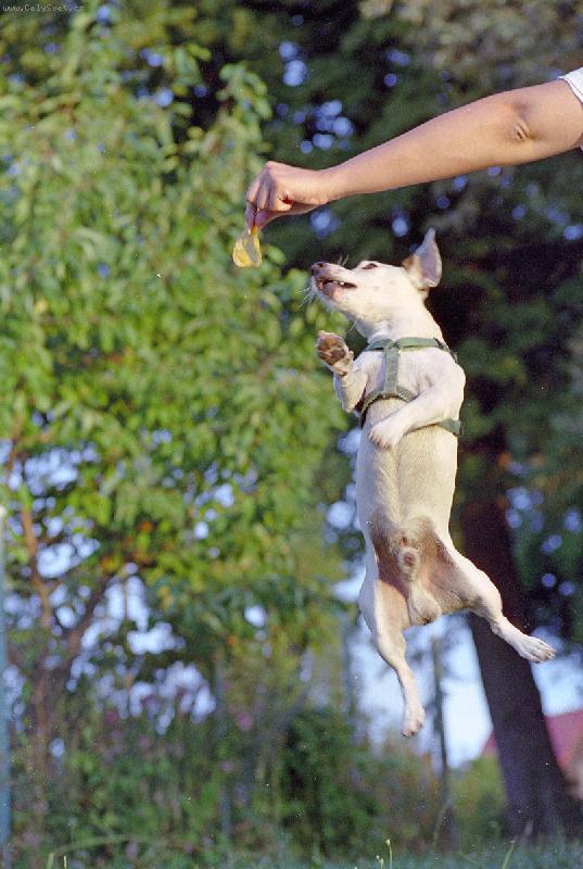 Foto: Hop-Co bych neud�lal pro �r�dlo......