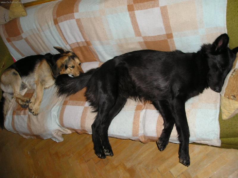 Foto: Miki a Majda-Prima dvojka sp���