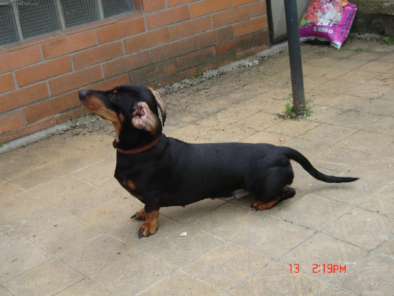 Foto: Na�e Dorotka Kv�t�kov� princezna-Mus�m si vyv�trat moze�ek