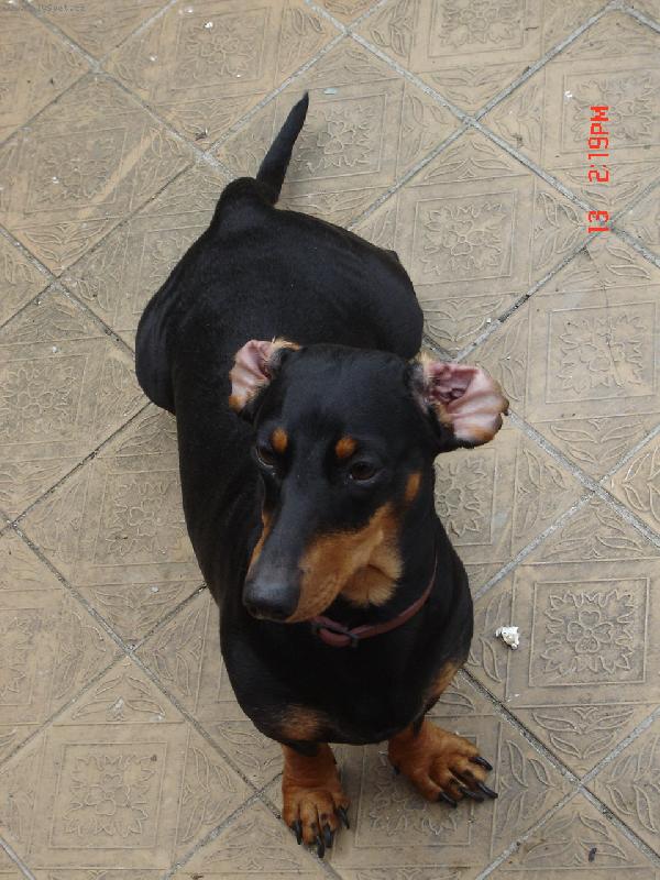 Foto: Dorotka-a op�t kv�t�k:)