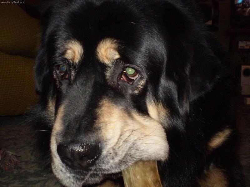 Foto: s kosti�kou-to j� r�d, hrozn� moc r�d