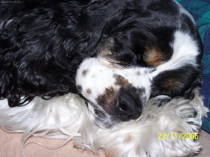 Foto: To se mi to spink� :-)-Odpo��vaj�c� "Targu�ka"