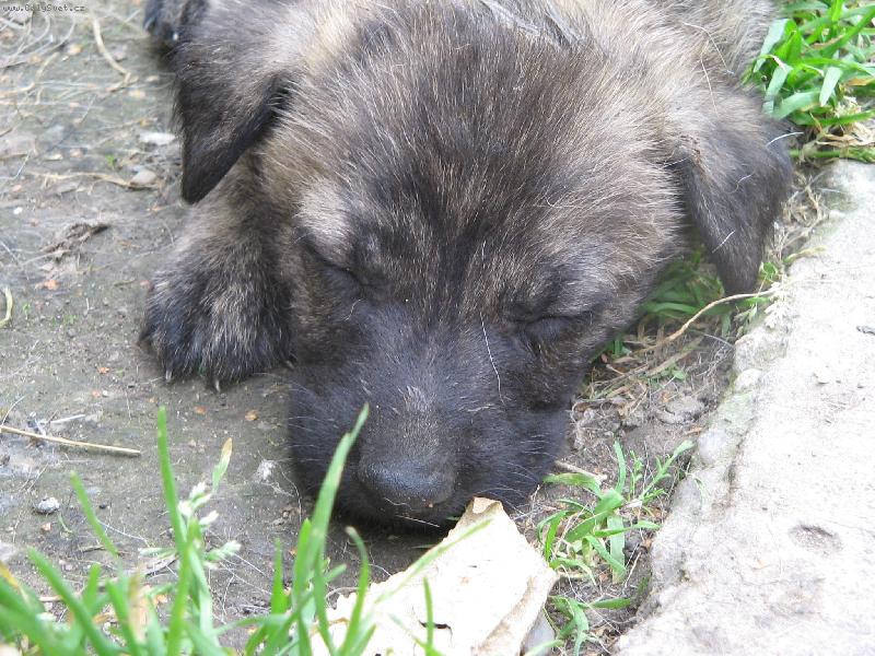 Foto: Neru�it....spink�m...